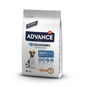 Advance Mini Adult Petit chien