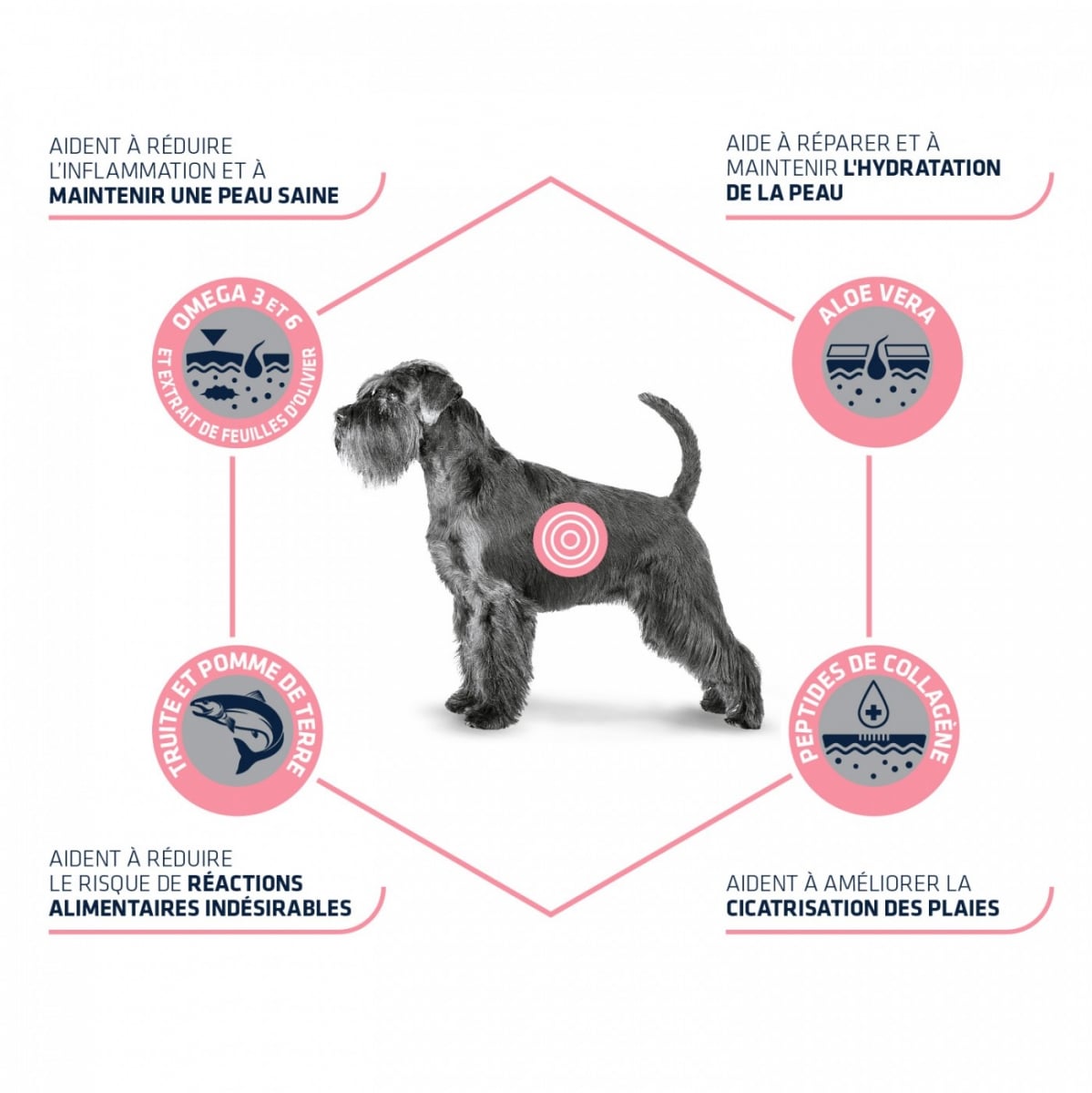 Advance VD Atopic Care Mini Petit chien
