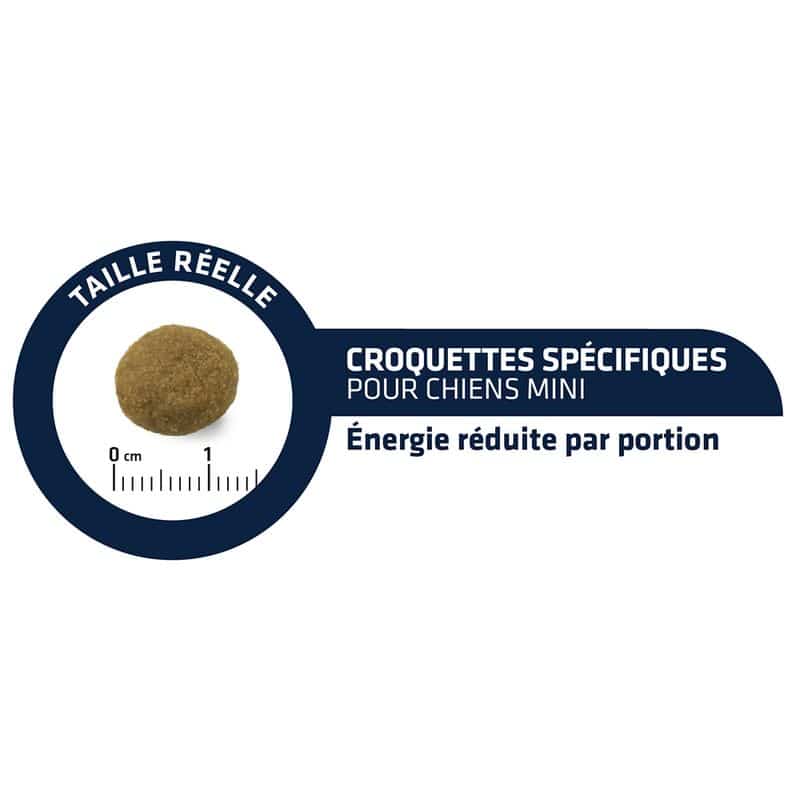 Advance VD Weight Balance Mini Petit chien