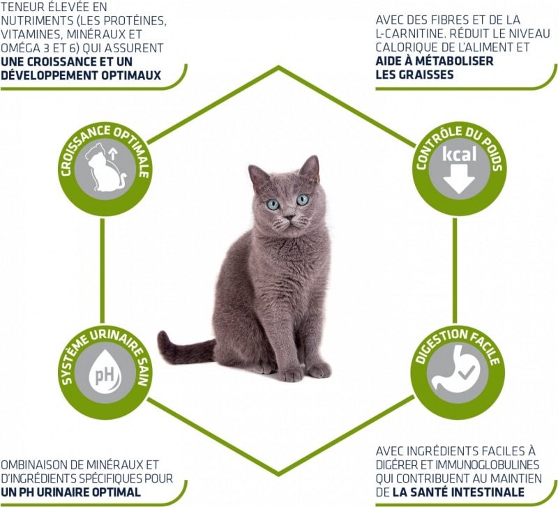 Advance Young Sterilized 1,5 kg Chat stérilisé