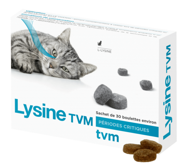 Lysine TVM : Complément Alimentaire pour Chats contre l'Herpèsvirus Félin