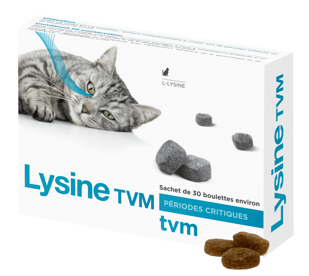 Lysine pour chat et chaton de TVM - complément nutritionnel pour