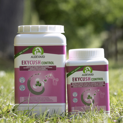 Audevard Ekycush Control – Cheval Cushing