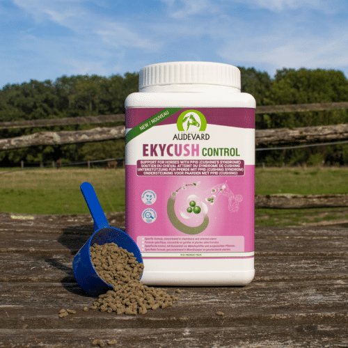 Audevard Ekycush Control – Cheval Cushing