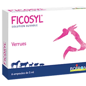 Ficosyl