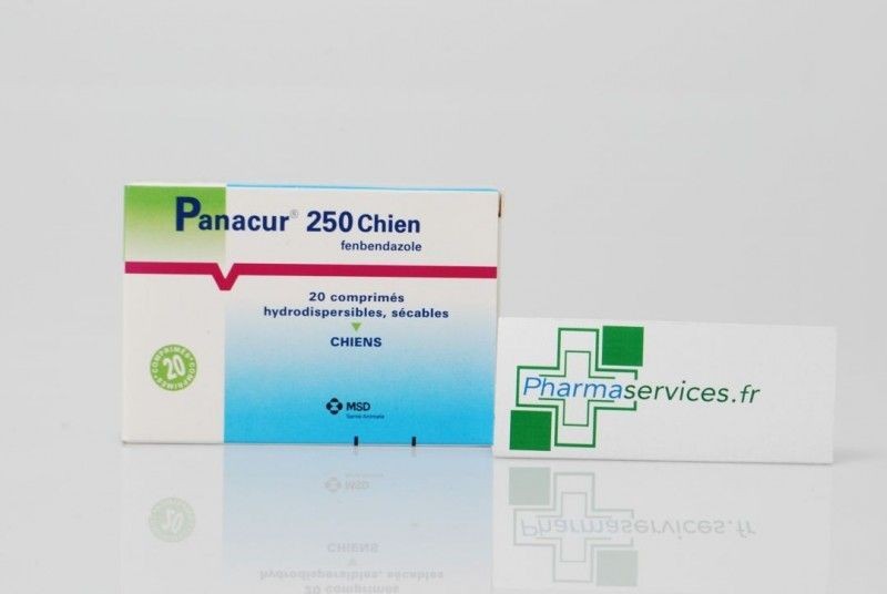 Panacur 250 est un vermifuge complet pour chiens, formulé à base de fenbendazole. Il traite efficacement les infestations parasitaires internes, notamment les vers ronds, plats et les trichures.