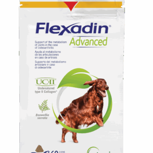 Equistro Flexadin Advanced – Chien