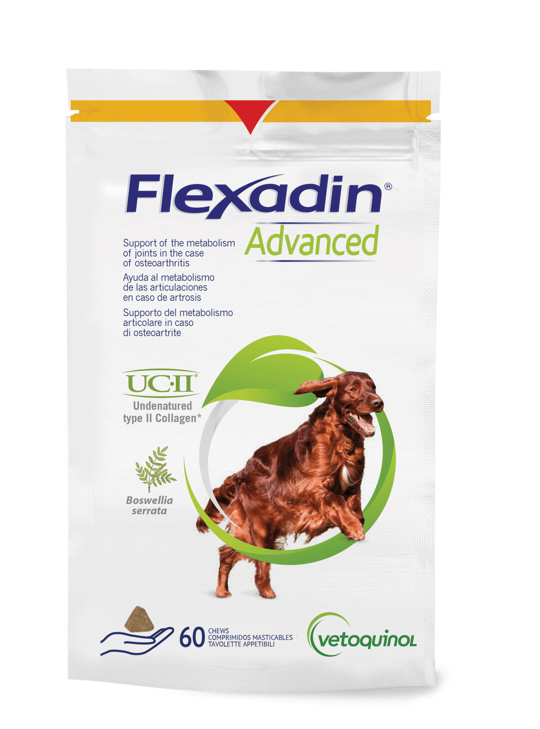 Equistro Flexadin Advanced – Chien