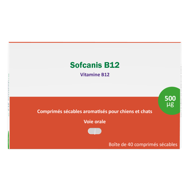 Sofcanis B12 40 Comprimés - Complément alimentaire essentiel pour la santé de votre chien ou chat
