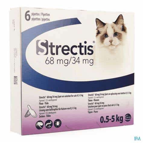 Quel vermifuge pour chat disponible en pharmacie choisir ?