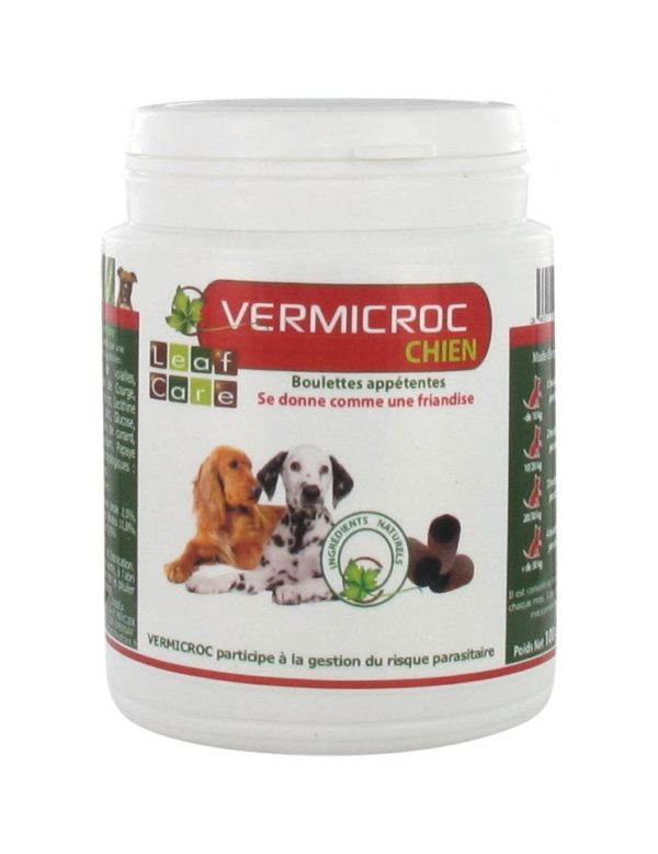 Vermicroc Chien - Boulettes Appétentes Vermifuges pour une Santé Digestive Optimale - 100g (20 boulettes)