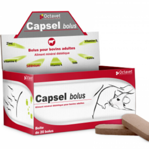 Capsel Bolus 20 Bolus - Supplément nutritionnel pour bovins