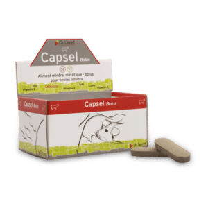 Capsel Bolus 20 Bolus - Supplément nutritionnel pour bovins