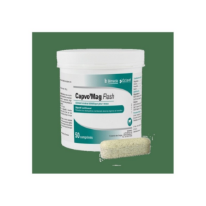 Capvo Mag Flash 15 gélules - Octavet