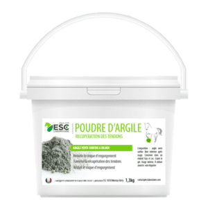 ESC Laboratoire Poudre d'argile verte surfine à diluer - 1kg