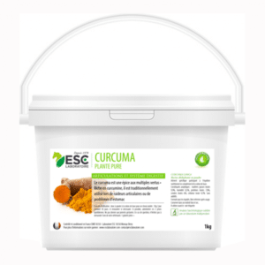 Esc Laboratoire Curcuma Articulations et Digestion 1kg