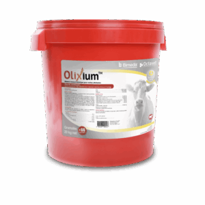 Olixium Seau de 20 kg - Octavet