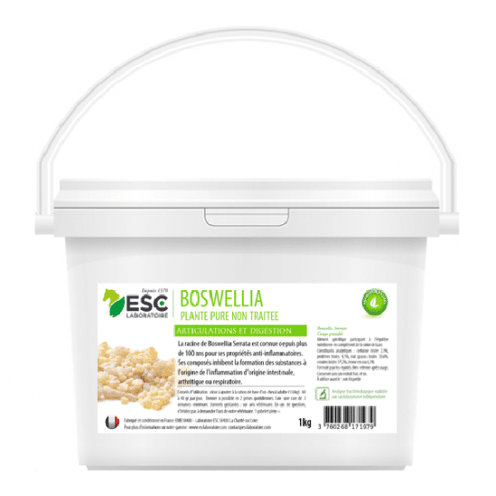 Esc Laboratoire Boswellia Serrata pour Articulations et Digestion (1kg)