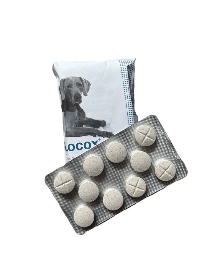 LOCOX 150 comprimés sous sachet -TVM