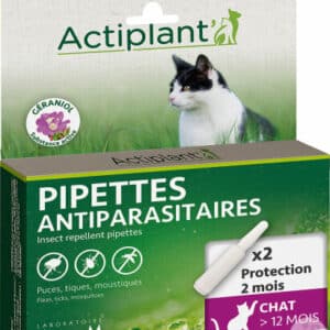 ACTI Pipettes Antiparasitaires Chat et Chaton