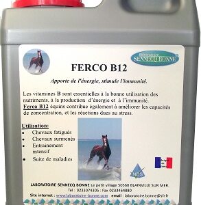 Ferco B12 NF