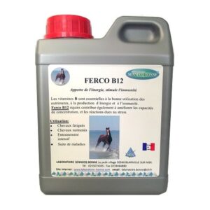 Ferco B12 NF