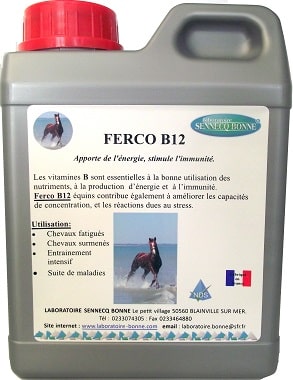 Ferco B12 NF