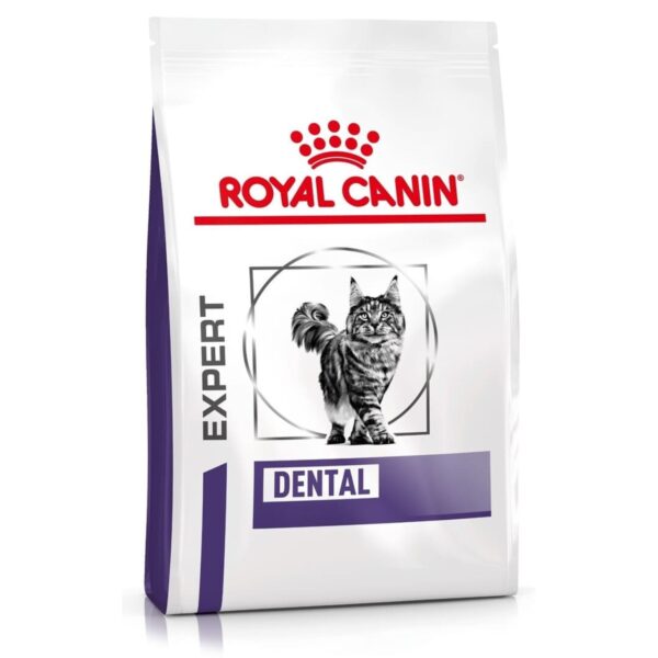 Royal Canin Expert Chat Adult Dental - 1,5 kg