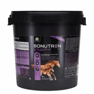 Audevard Bonutron Stud G1-L6 Jument poulinière