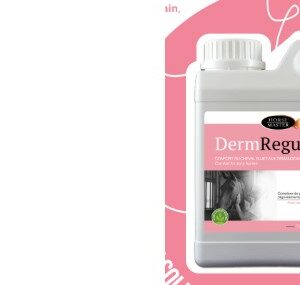 Horse Master Derm Regul 1 L – Cheval