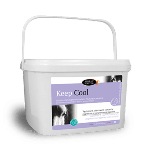 Horse Master Keep Cool 1kg