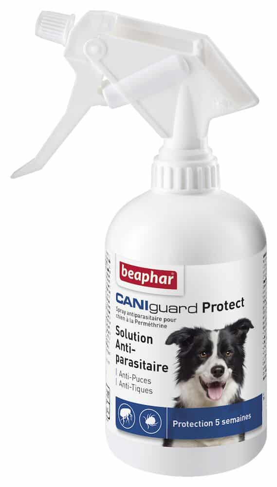Beaphar CANIguard Protect Spray pour chien à la Perméthrine – 250 ml
