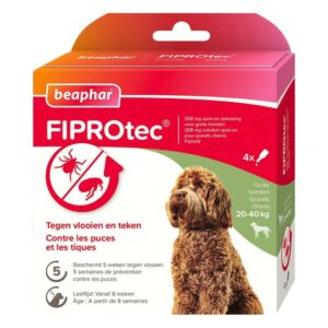 Beaphar FIPROTEC 268 mg Solution Spot-on pour Grands Chiens – Pack de 4 pipettes | Zoo Santé