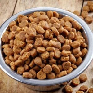 Croquettes pour votre chien de grandes marques