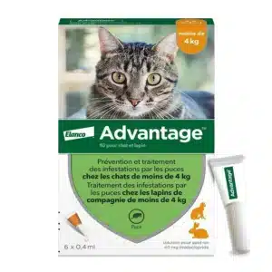 Advantage 40 Chat et Lapin (0-4 kg) - 6 pipettes