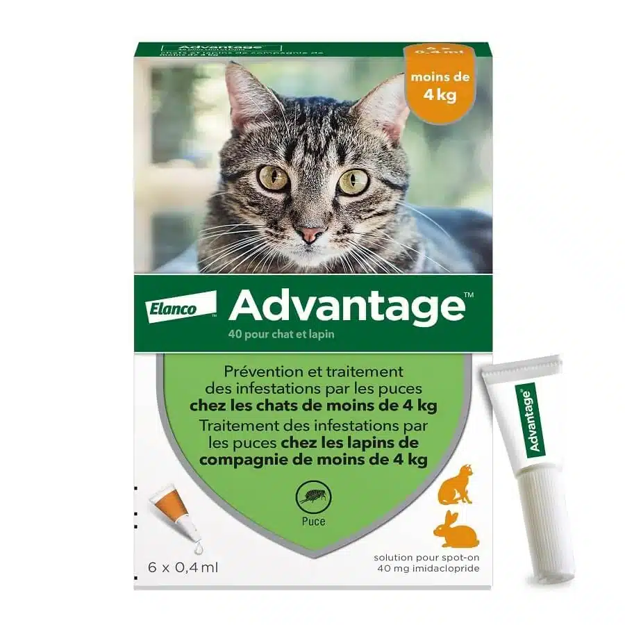 Advantage 40 Chat et Lapin (0-4 kg) - 6 pipettes