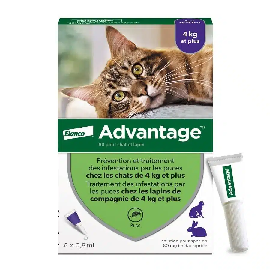 Advantage 80 Chat et Lapin (4-10 kg) - Pipettes x6