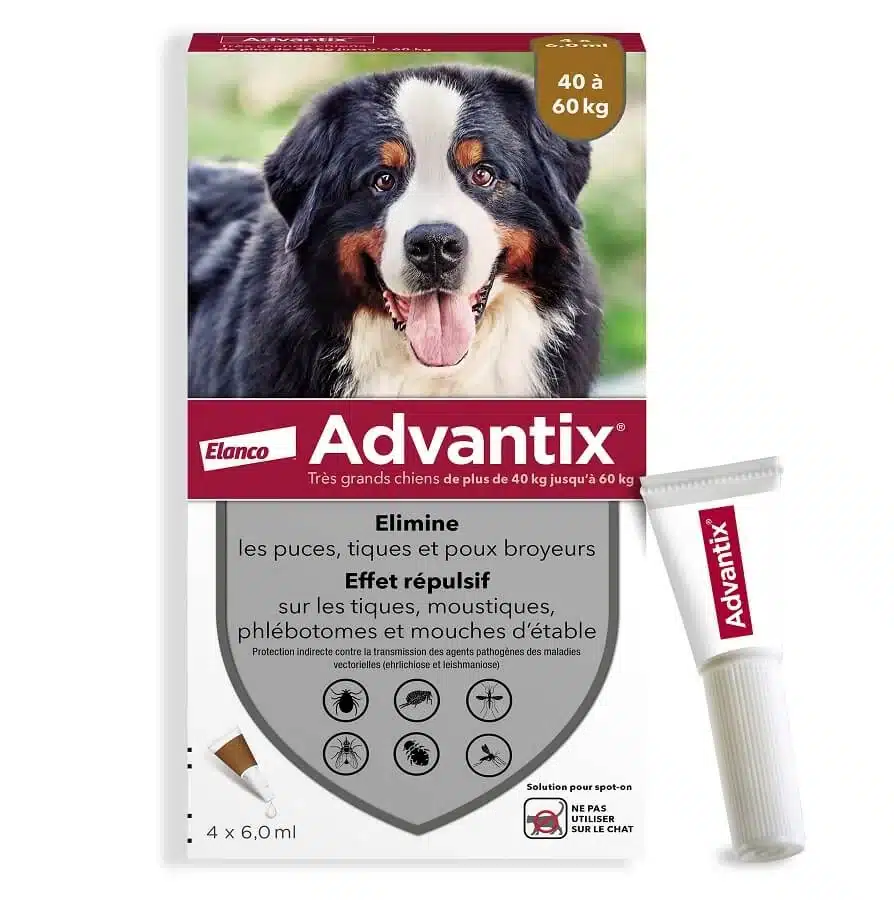 Advantix Très Grand Chien 40-60 kg - 4 pipettes de 6 ml