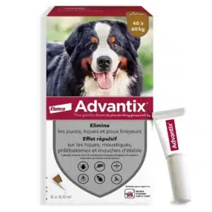 Advantix Très Grand Chien 40-60 kg - 6 pipettes de 6 ml