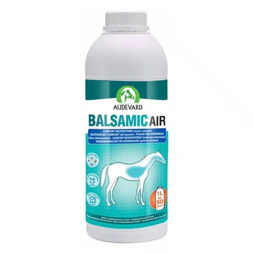 Audevard Balsamic Air 1 L