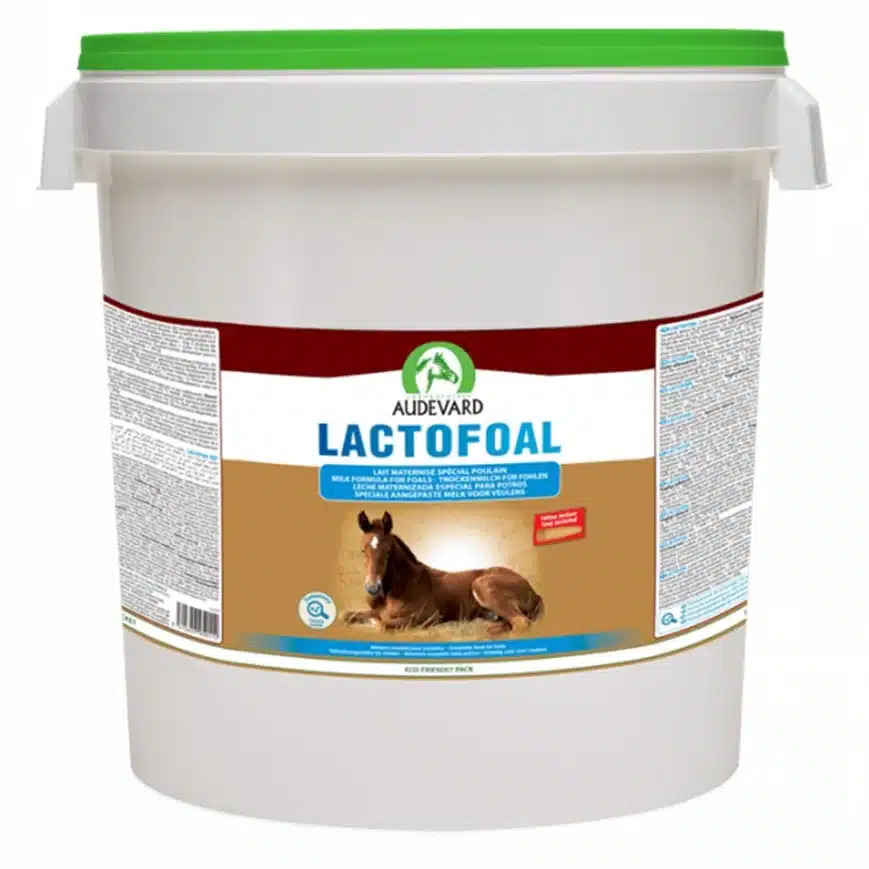 Audevard Lactofoal 14 kg