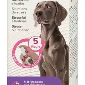 Beaphar CaniComfort Spray Calmant pour Chien 60 ml