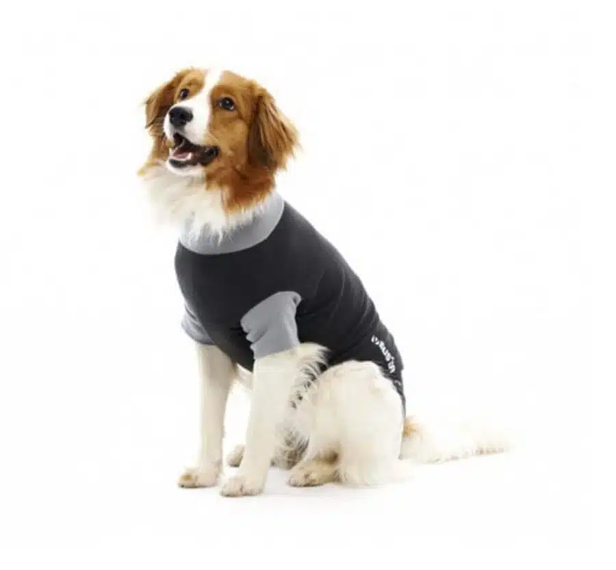 Buster Body Suit EasyGo Gilet Post-opératoire Chien XL