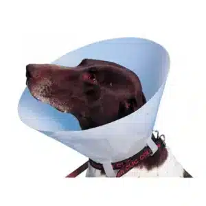 Buster Collerette Carcan Classique pour Chien - 30 cm