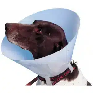Buster Collerette Carcan classique pour Chien et Chat - 10 cm