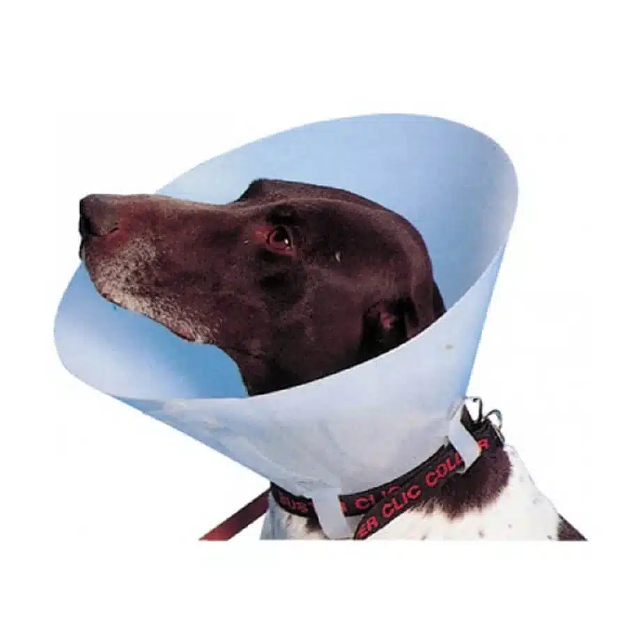 Buster Collerette Carcan classique pour Chien et Chat - 7.5 cm
