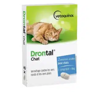 Drontal Chat