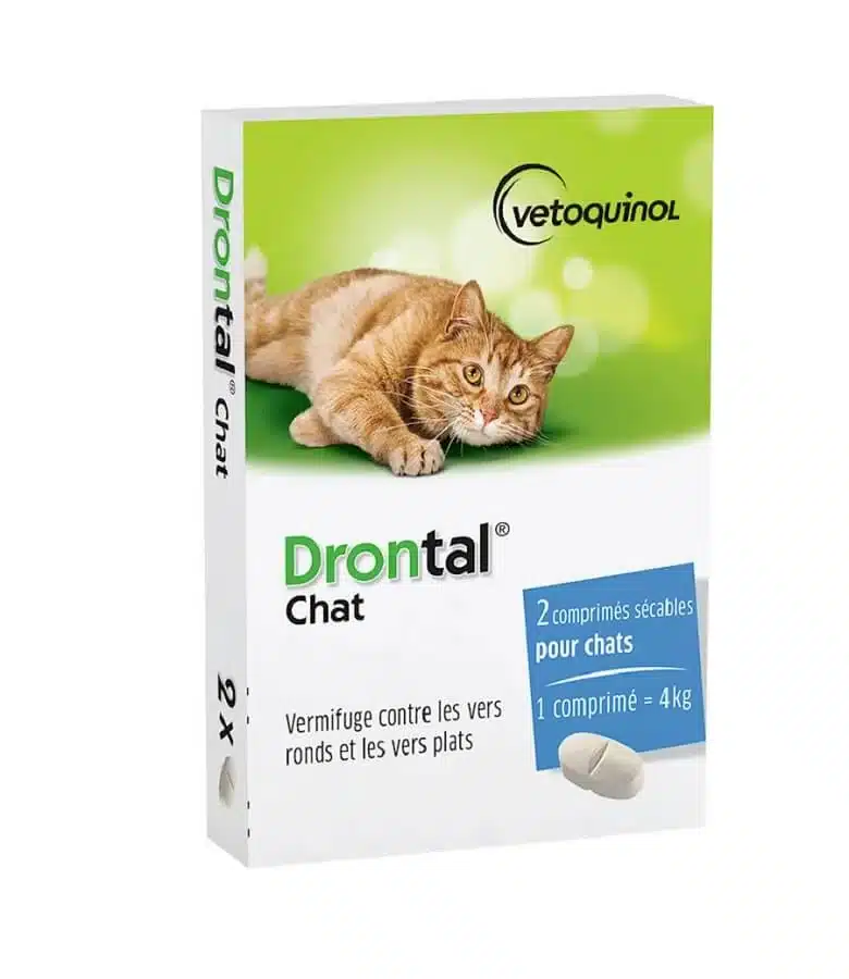 Drontal Chat