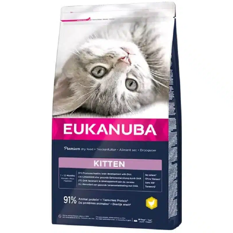 Eukanuba Chaton Healthy Start Kitten 1-12 mois
