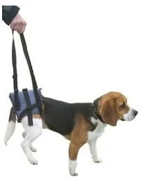 Harnais Handy Canis Pattes arrières M